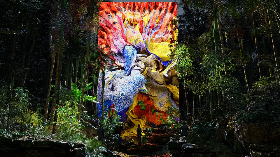 An installation projecting waves of color in the middle of a rainforest.