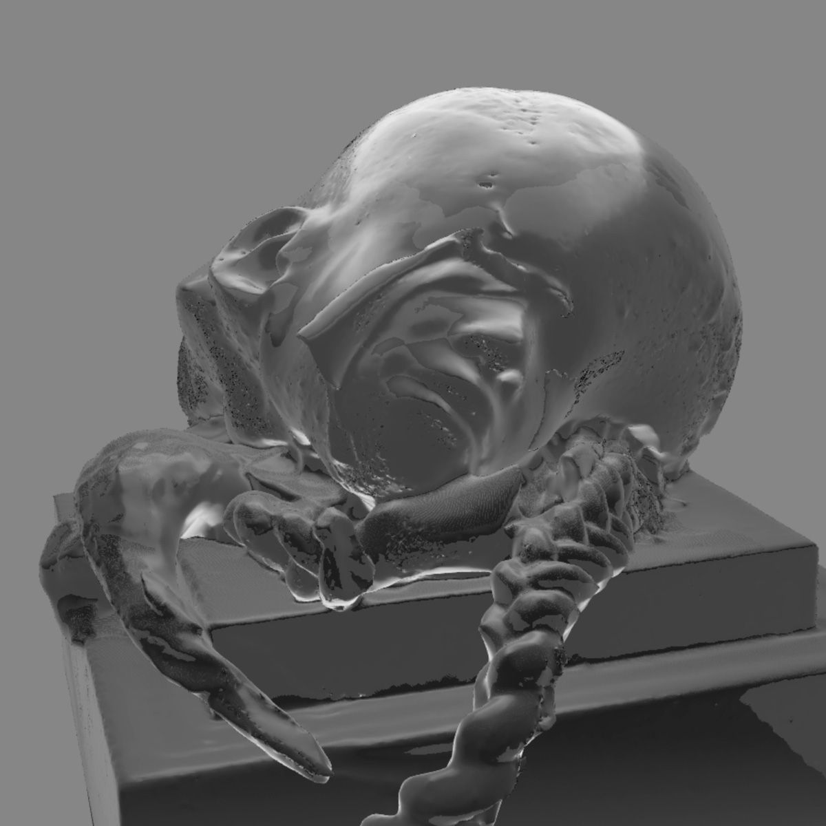 Feral File 1.0 celebrates the anniversary of the digital art platform