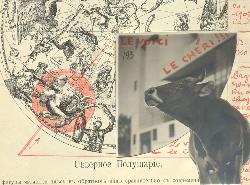 Film Undone at silent green in Berlin