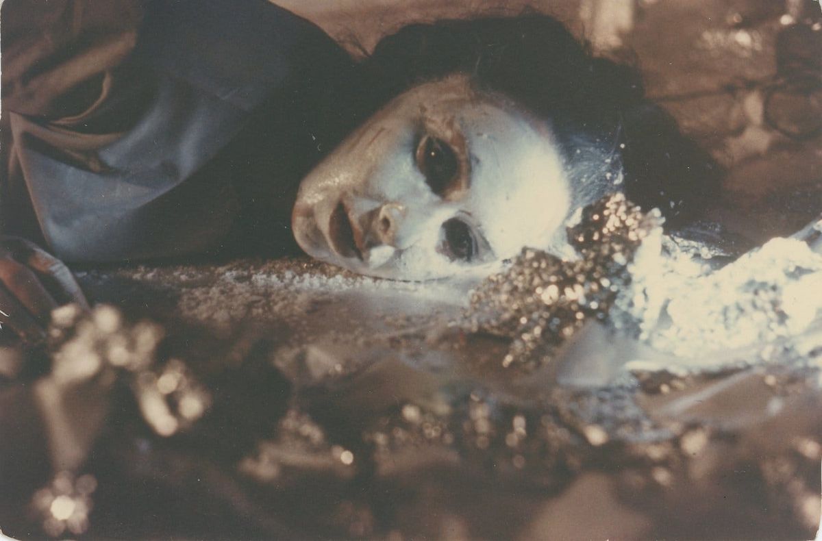 Seething Under the Snow: Film and Video by Carolee Schneemann