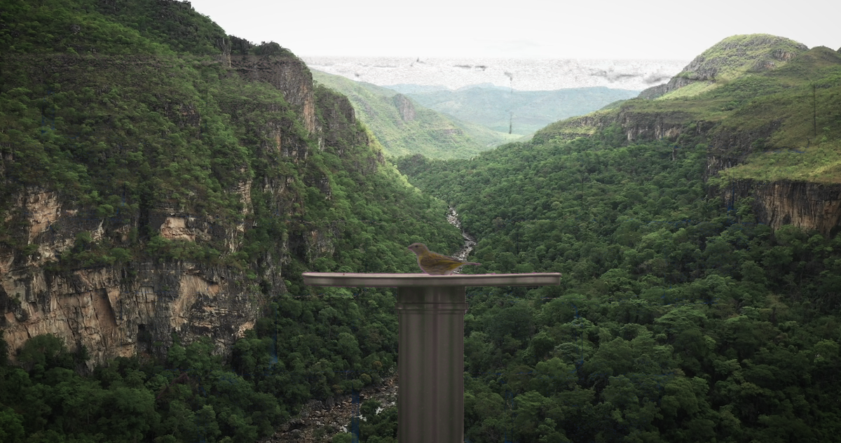 e-flux Film Award 2024 open for submissions