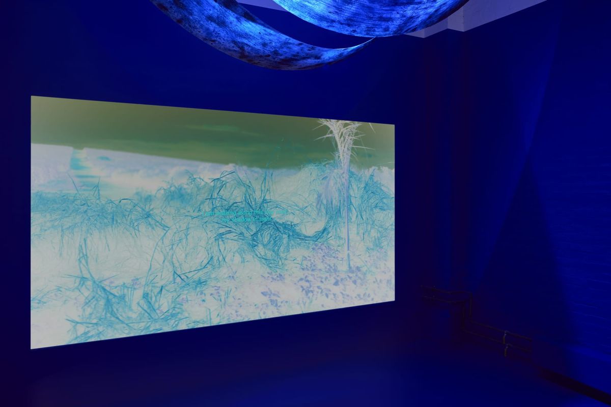 A gallery space bathed in blue light with a screen with an image of blue, painterly markings.
