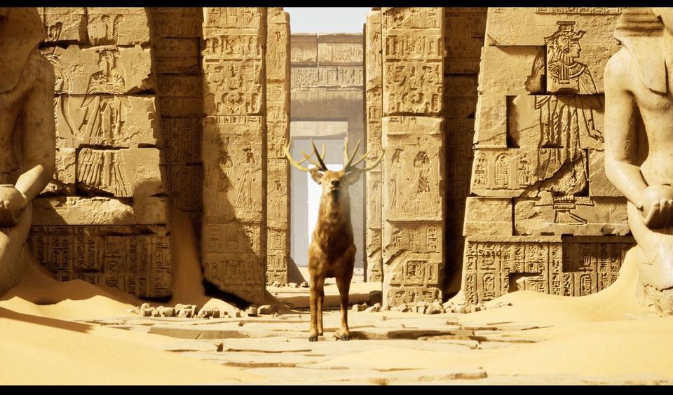 Wellcome Collection exhibits video series exploring race and identity