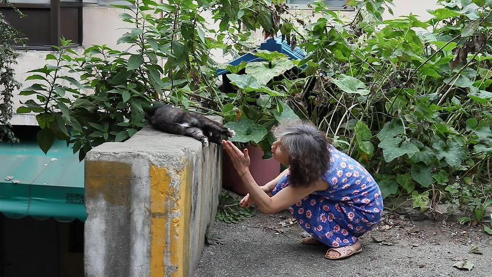 Frieze Film returns for a second edition