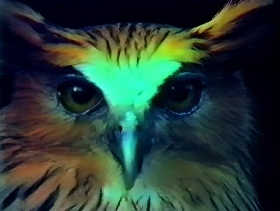 80WSE opens video art exhibition Seasonal Affective