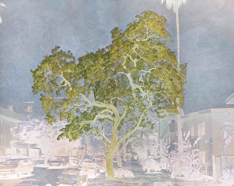 MCA Australia unveils largest exhibition of Tacita Dean's works in the Southern Hemisphere