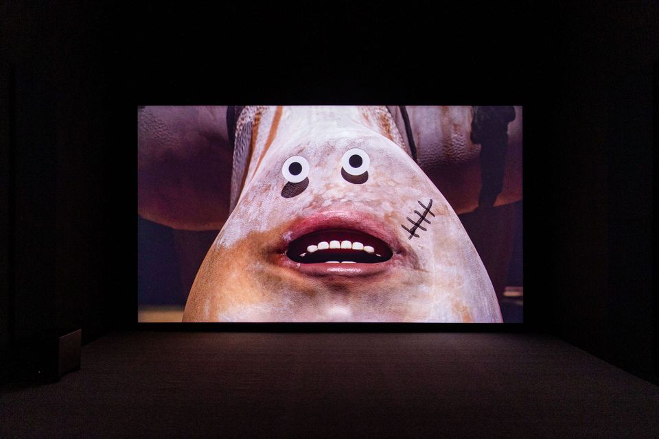 TFAM and SculptureCenter team up for Small World Cinema