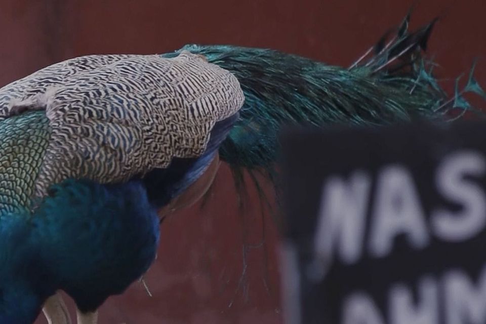 Pallavi Paul has first solo exhibition at Gropius Bau