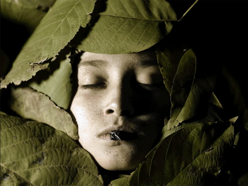 A woman's face with her eyes closed, surrounded by large green tree leaves, with a root in her mouth.