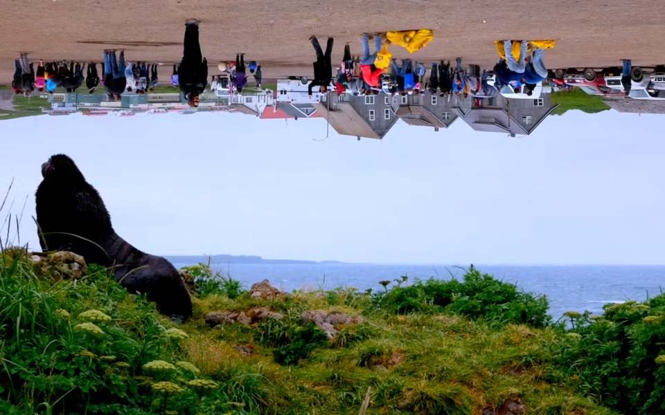 A composite image with a view of the ocean from a grassy island on the lower half, with the upper half an upside-down image of a small neighborhood with residents standing around their homes.