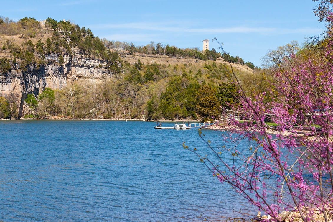 Invasive Species: What to Watch Out for While Boating in Lake of the Ozarks
