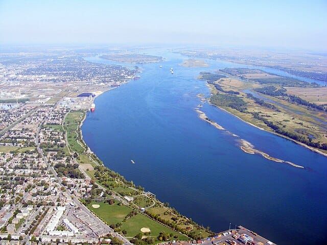 Invasive Species: What to Watch Out for While Boating in the St. Lawrence River