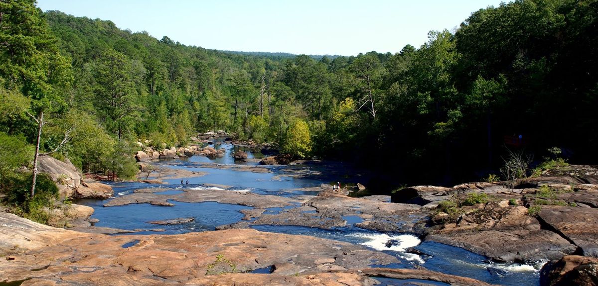 Fishing Fun: 7 Georgia State Parks to Reel in the Big One