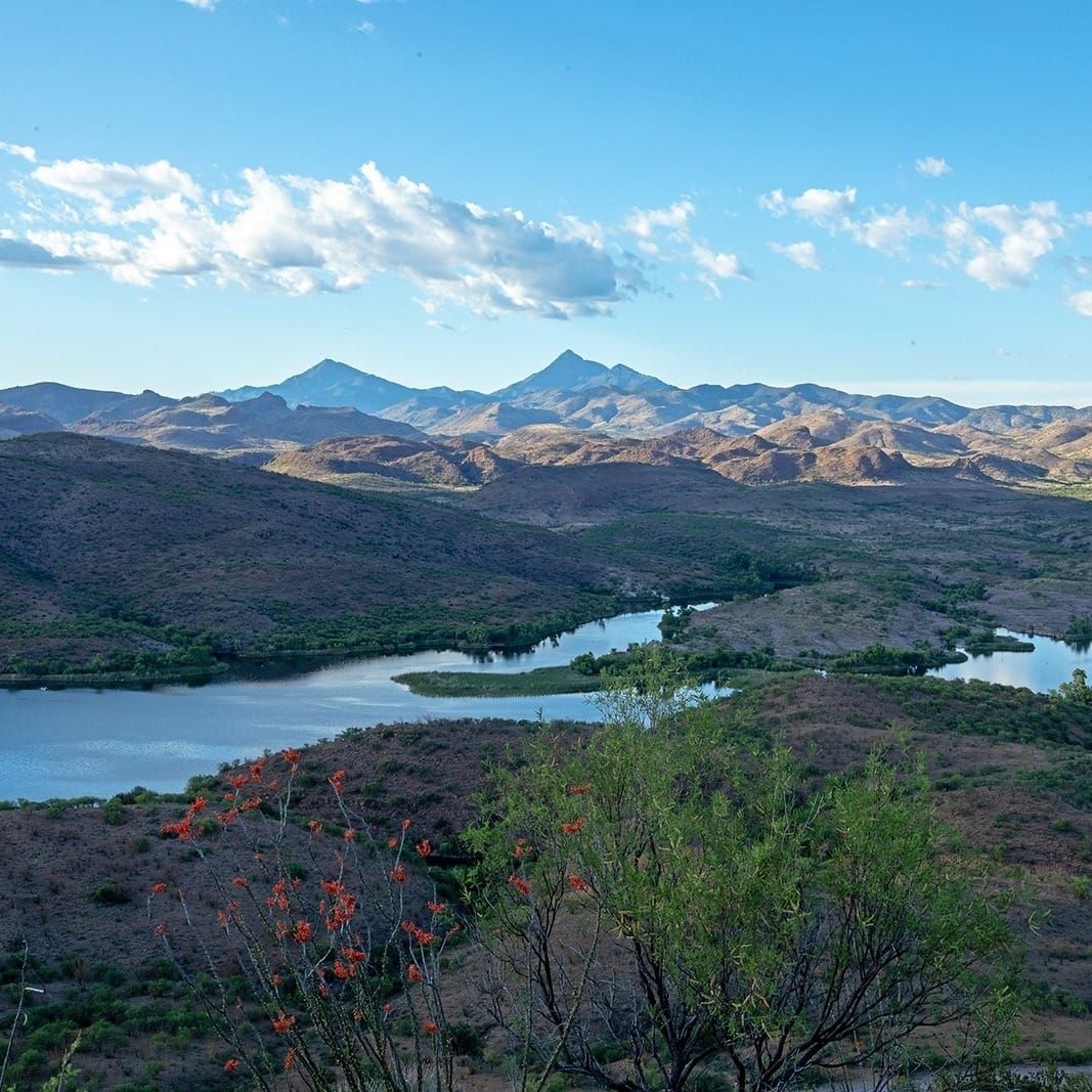 Fishing Fun: 6 Arizona State Parks to Reel in the Big One
