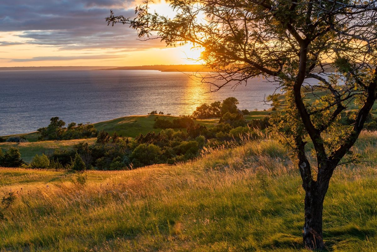 Fishing Fun: 6 South Dakota State Parks to Reel in the Big One