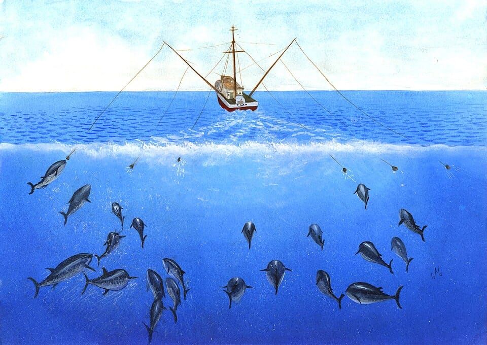 Trolling Techniques: How to Perfect Your Fishing Strategy