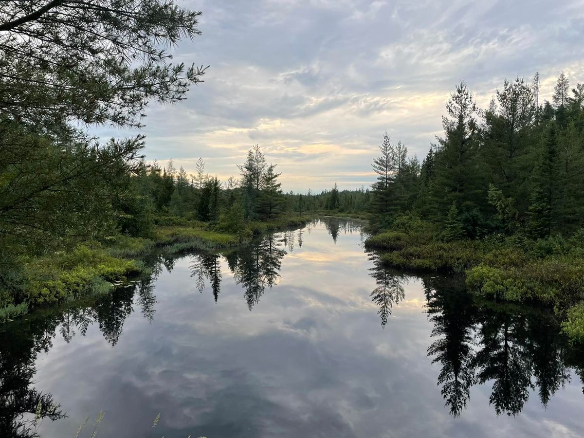 Fishing Fun: 7 Michigan State Parks to Reel in the Big One