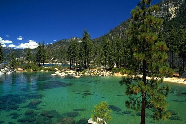 Invasive Species: What to Watch Out for While Boating in Lake Tahoe