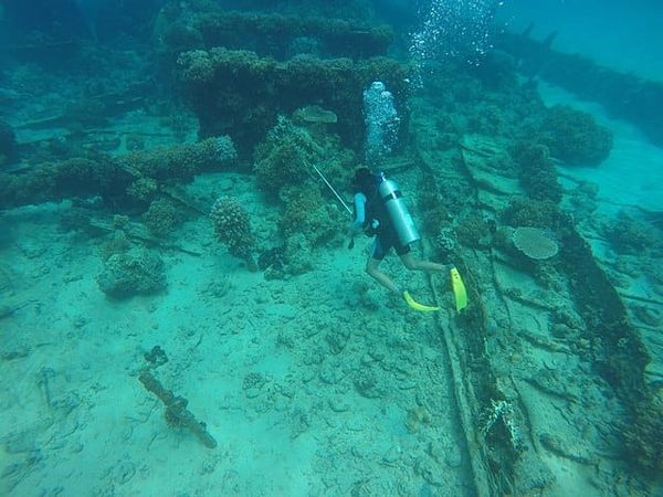Diving Directory: Shipwrecks Along the North Carolina Coast