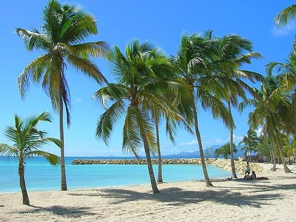 City Guides: Things to do While Boating in Guadeloupe