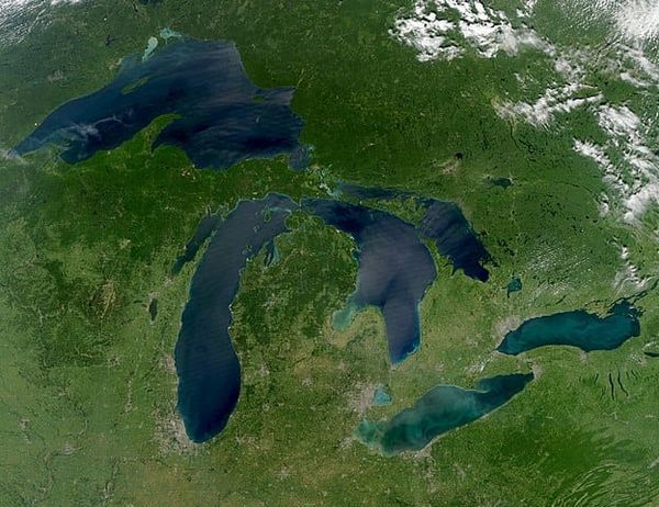 Invasive Species: What to Watch Out for While Boating in the Great Lakes