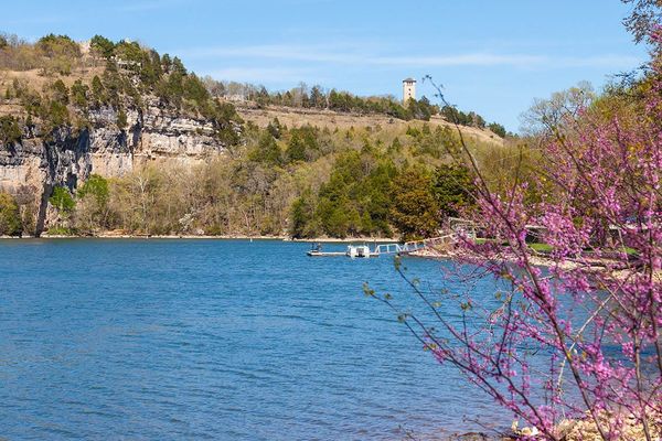 Invasive Species: What to Watch Out for While Boating in Lake of the Ozarks