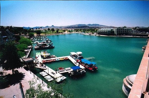 Invasive Species: What to Watch Out for While Boating in Lake Havasu