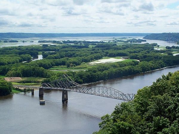 Invasive Species: What to Watch Out for While Boating on the Mississippi River