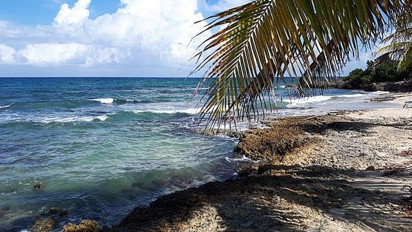 Coastal Sites: 4 Lighthouses in Jamaica