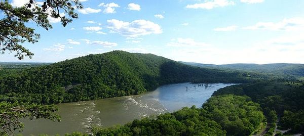 Invasive Species: What to Watch Out for While Boating on the Potomac River