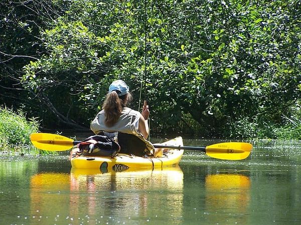 Fishing Fun: 9 Florida State Parks to Reel in the Big One
