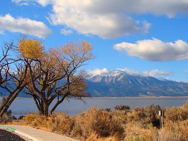 Fishing Fun: 7 Nevada State Parks to Reel in the Big One