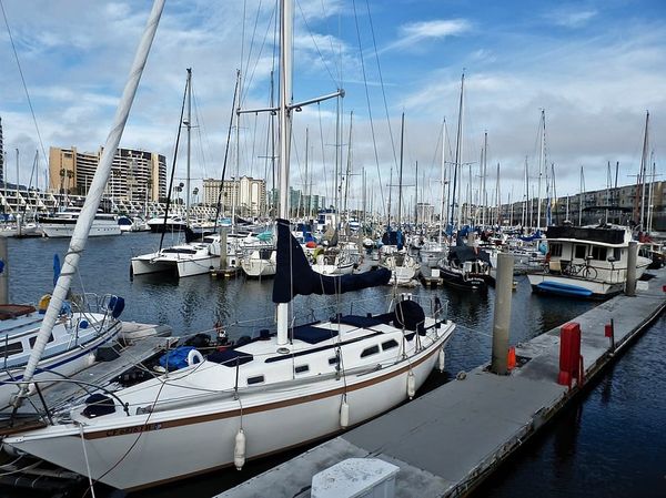 Dock and Dine: 5 Restaurants to Visit Via Boat in Marina del Rey, California