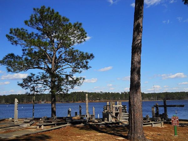 Fishing Fun: 7 Mississippi State Parks to Reel in the Big One