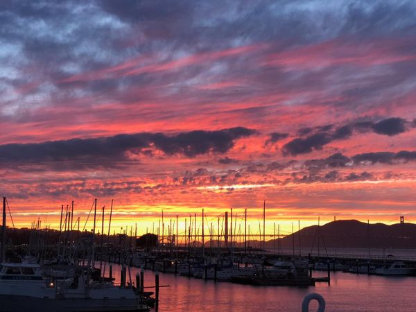 Dock and Dine: 5 Restaurants to Visit Via Boat in San Francisco, California