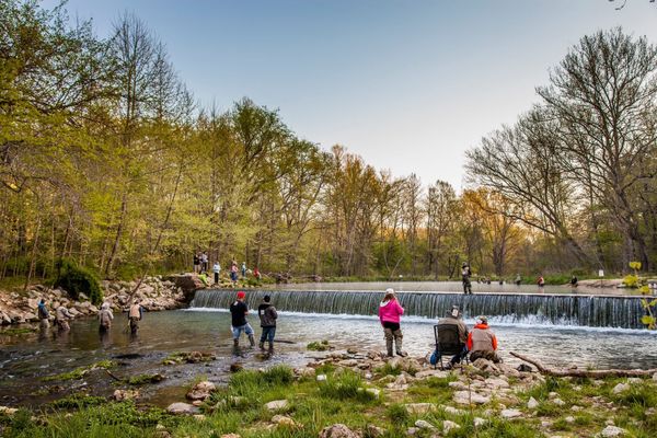 Fishing Fun: 7 Missouri State Parks to Reel in the Big One