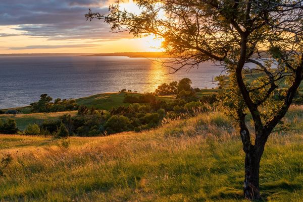 Fishing Fun: 6 South Dakota State Parks to Reel in the Big One