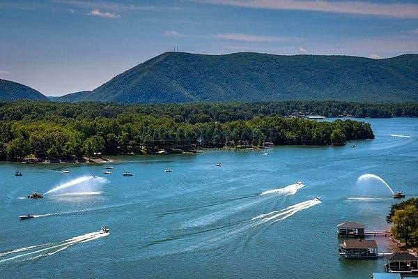 Dock and Dine: 4 Restaurants to Visit Via Boat in Moneta, Virginia