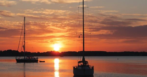 Fishing Fun: 8 Types of Fish to Catch in the Chesapeake Bay