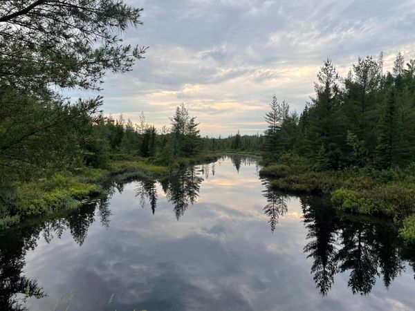 Fishing Fun: 7 Michigan State Parks to Reel in the Big One