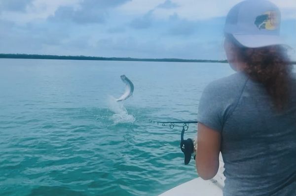 Fishing Fun: 16 Types of Fish to Catch in the Florida Keys