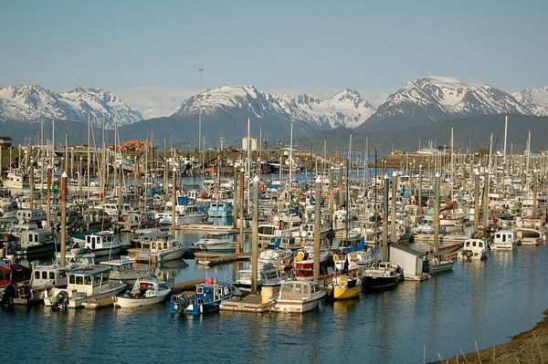 City Guides: Things to do While Boating in Homer, Alaska