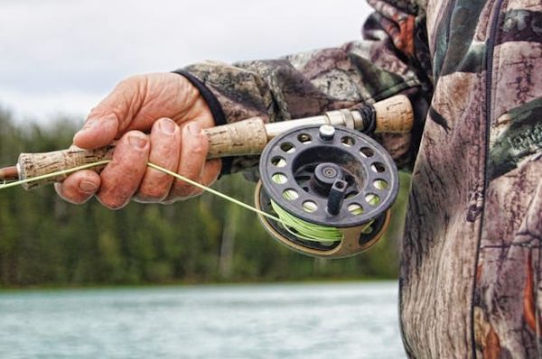 Fishing Fun: Types of Fish to Catch in the St. Lawrence River