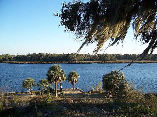 Adventures in Boating: Florida's Crystal River