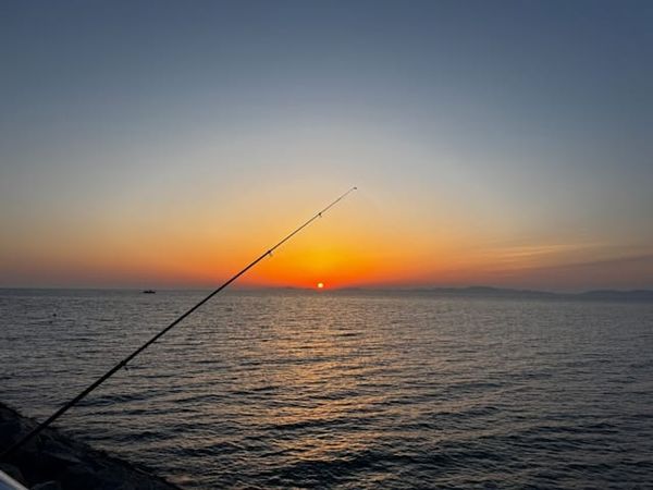 Fishing Fun: Tips and Tricks for a Safe and Productive Night Fishing Trip