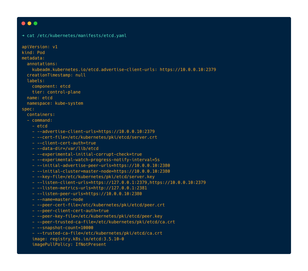 Kubernetes Configuration: etcd manifest file