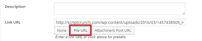insert in to post link url issue