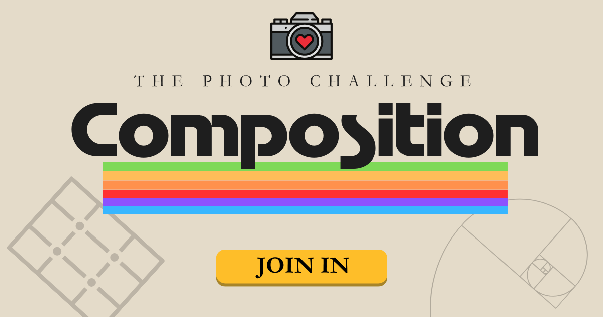 The Photo Challenge