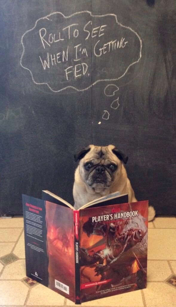 IFAQ: Elves and Pugs