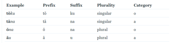 Possessives in Te Reo Māori